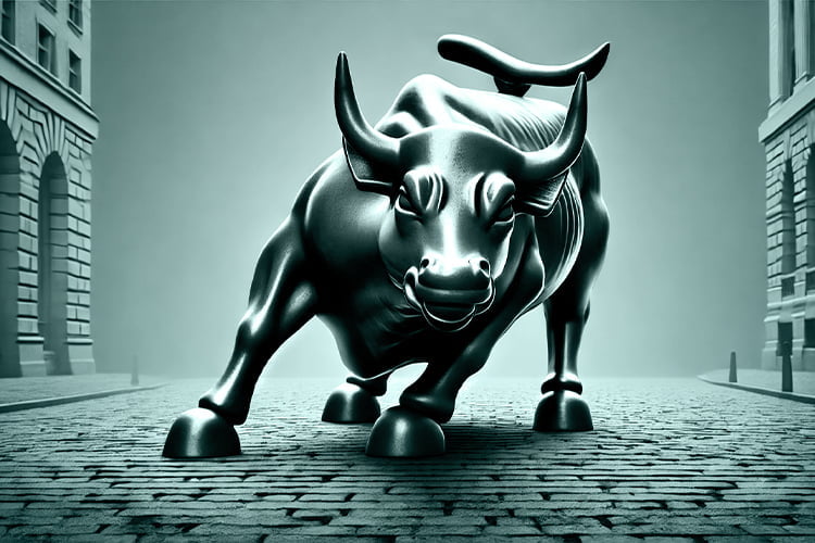 financial services bull